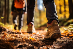 AdobeStock_822547657-1